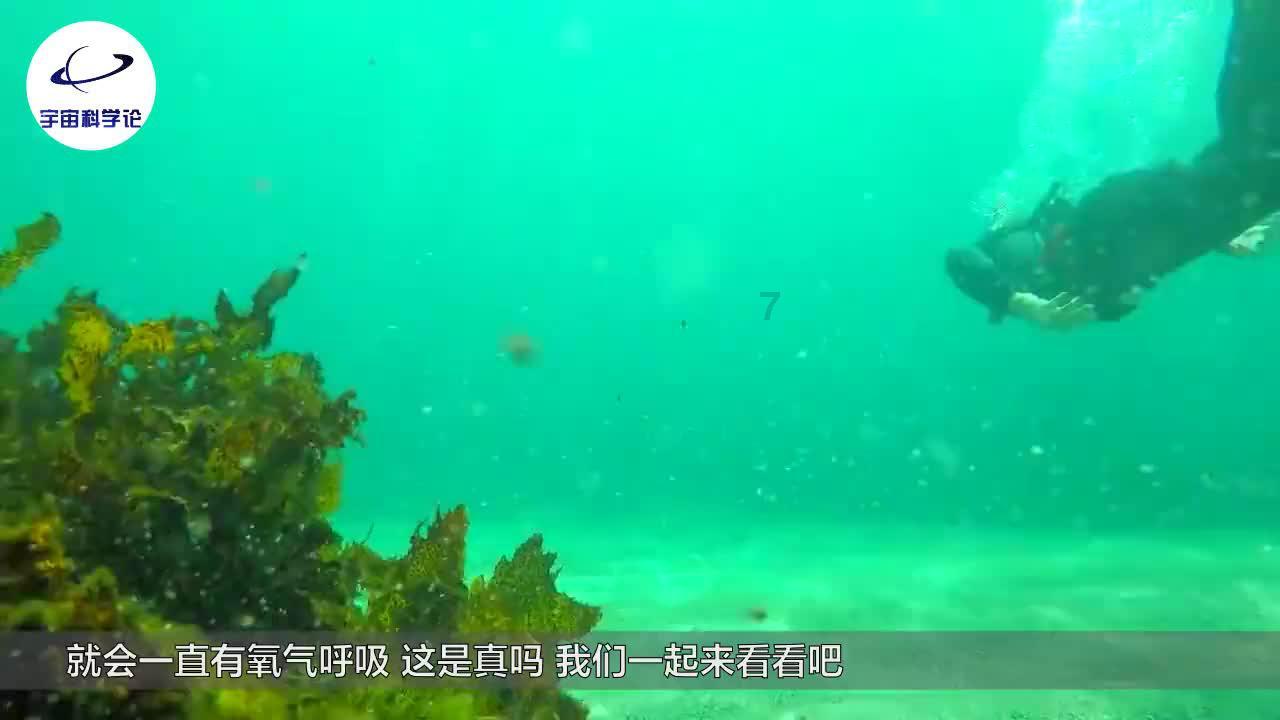 年味浓,人气旺!临河这场家门口的“年货节”真热闹